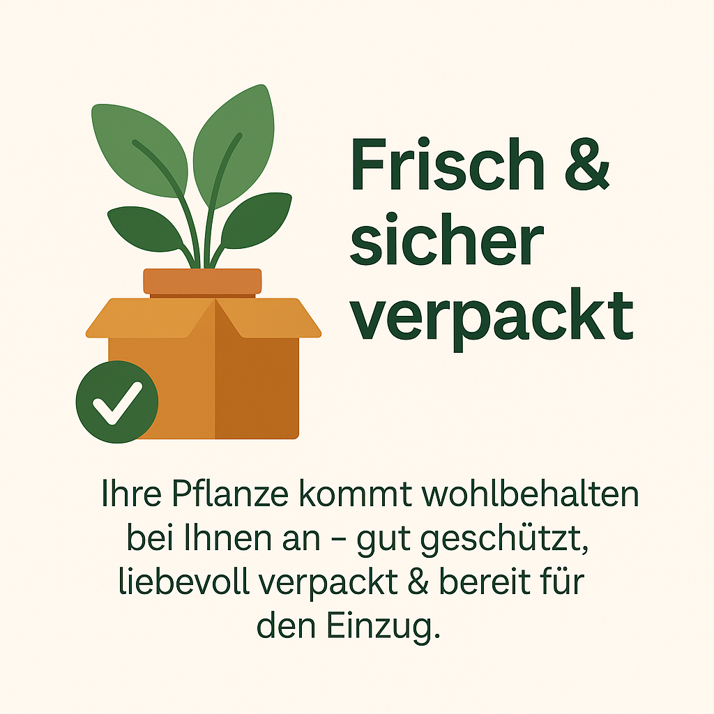 Grüne Oase Gartenwelt