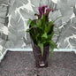 Zantedeschia – Calla (lila)