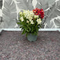 Antirrhinum – Löwenmäulchen in nostalgischer Blütenpracht